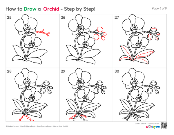 How to Draw an Orchid – Easy Step-by-Step Flower Drawing for Kids