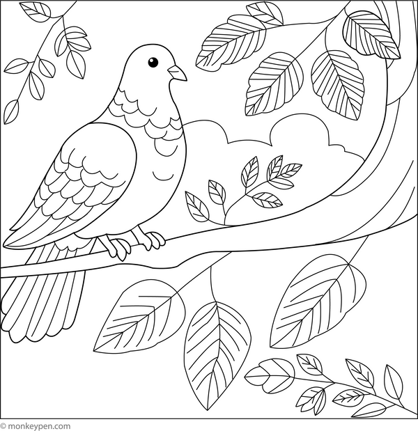 Dove on a Tree Branch | Free Coloring Pages