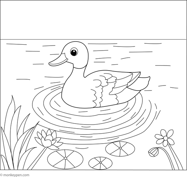 Duck in a Pond | Free Coloring Pages