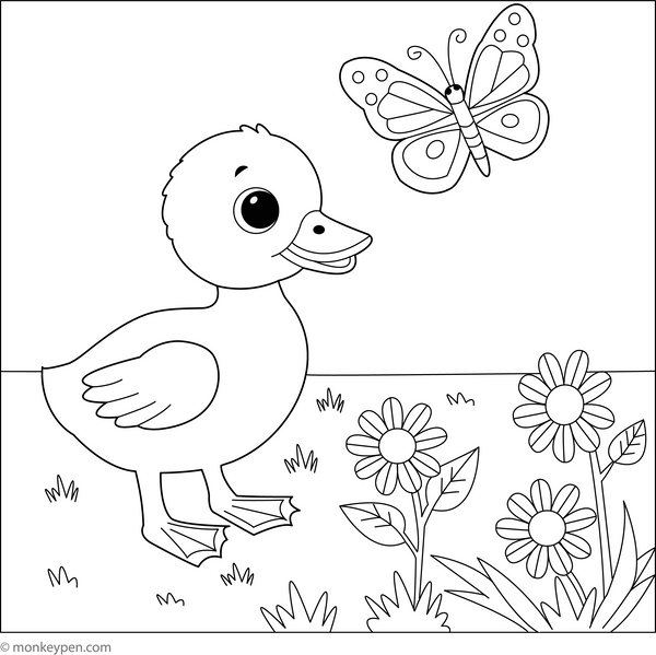 Duckling and a Butterfly | Free Coloring Pages