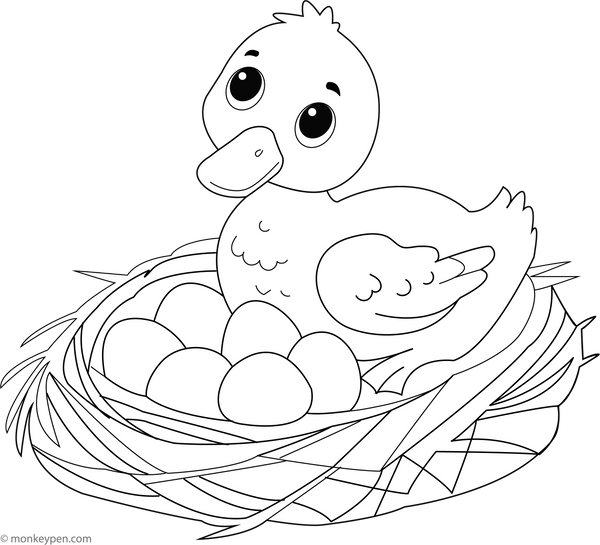 Duck and a Nest | Free Coloring Pages
