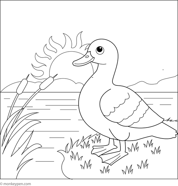 Duck at Sunset | Free Coloring Pages