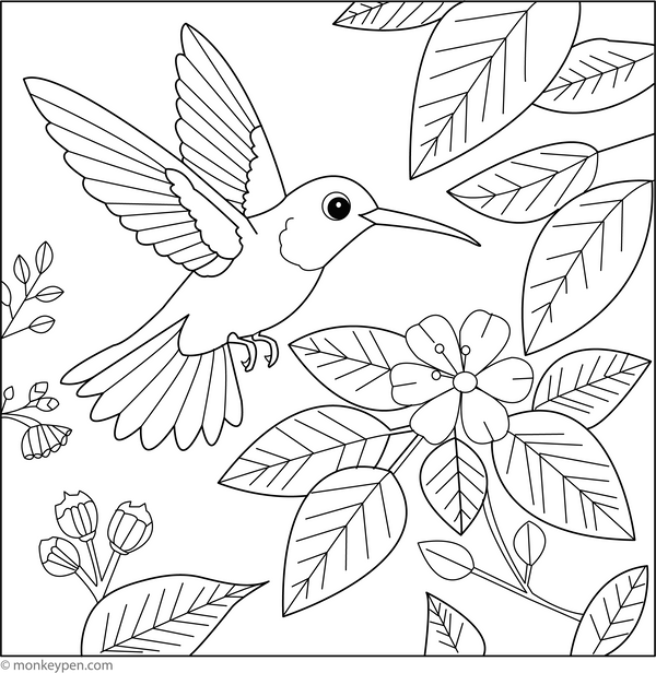 Hummingbird and Dewy Leaves | Free Coloring Pages