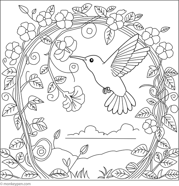 Hummingbird and the Vine Archway | Free Coloring Pages