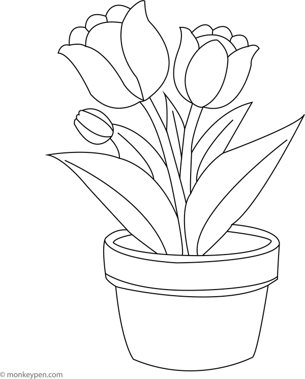 Tulips in a Flower Pot | Free Kids Coloring Pages