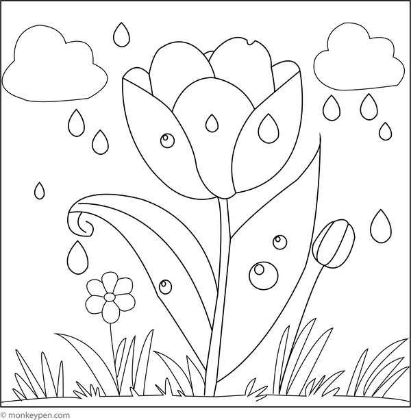 Tulip with Raindrops | Free Coloring Pages