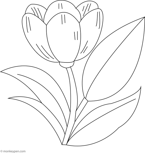 Simple Tulip | Free Coloring Pages