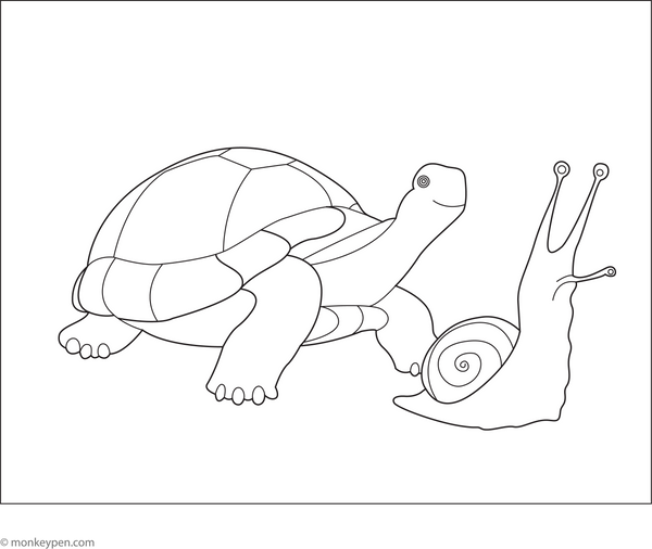 Turtle with a Snail Pal | Free Coloring Pages