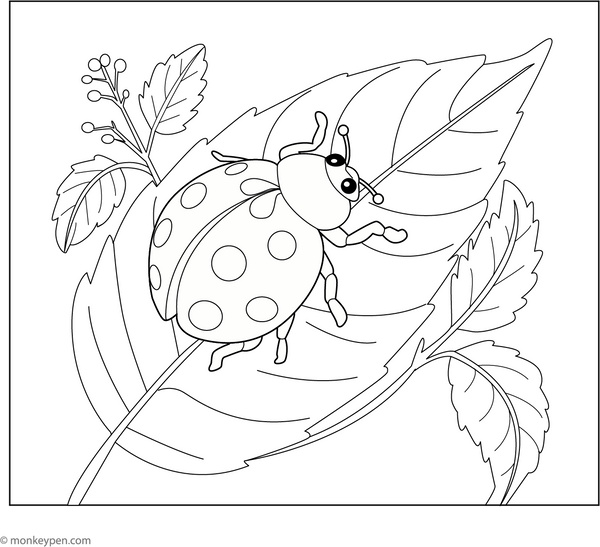 Ladybug on a Leaf | Free Coloring Pages