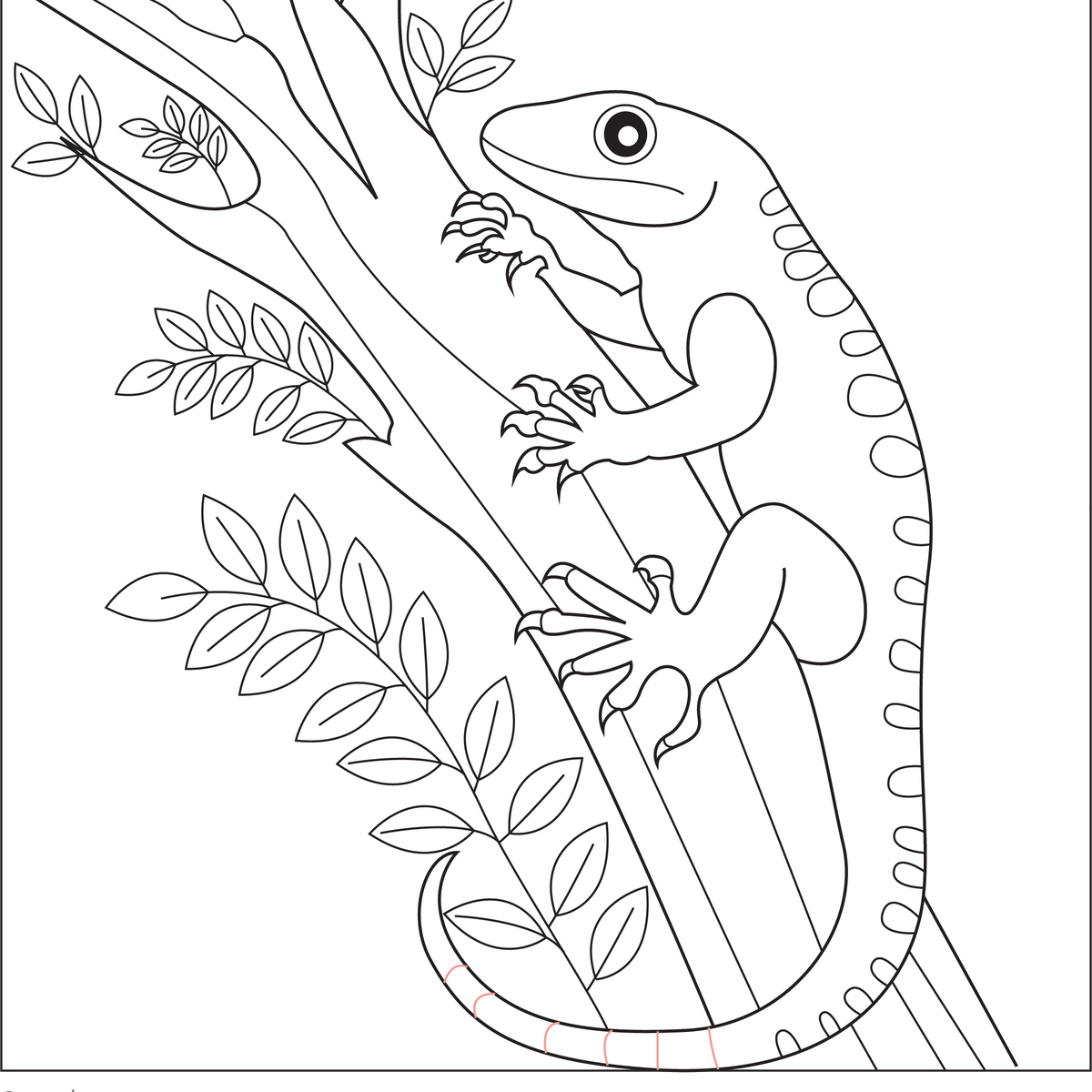Lizard Climbing a Tree | Free Coloring Page
