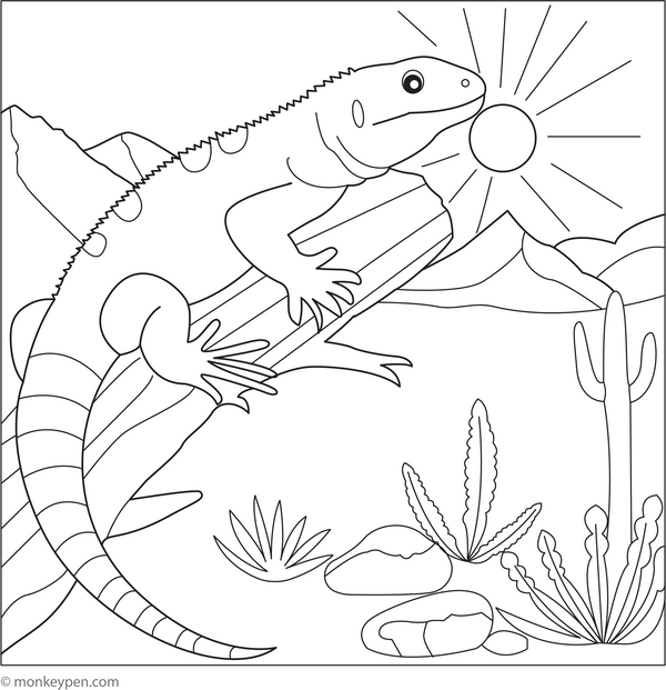 Lizard in the Desert | Free Coloring Page
