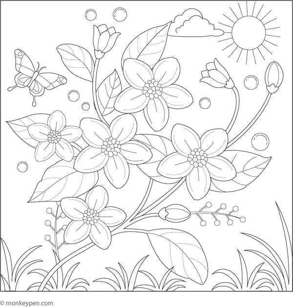 Jasmine with Dewdrops | Free Coloring Page