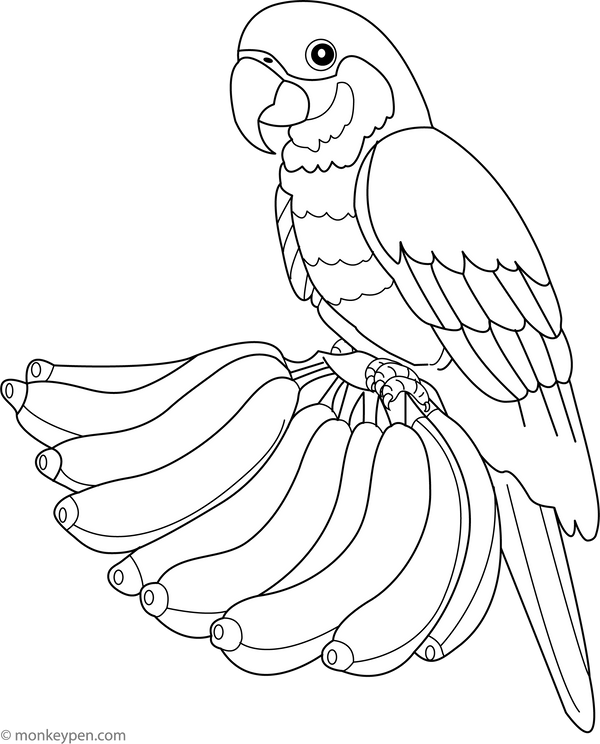 Banana and a Parrot | Free Coloring Page