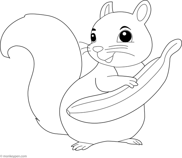 Squirrel Coloring Book