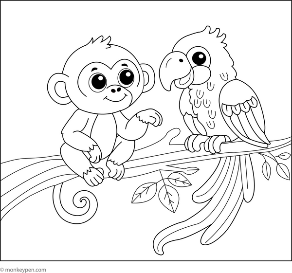 Parrot Coloring Book