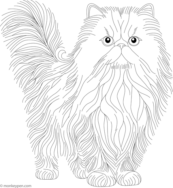 Printable Persian Cat Coloring Page