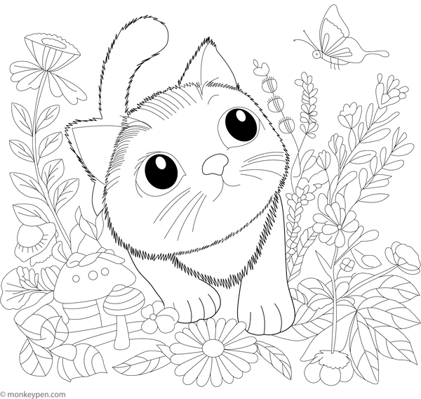 Cat and Butterfly Coloring Page