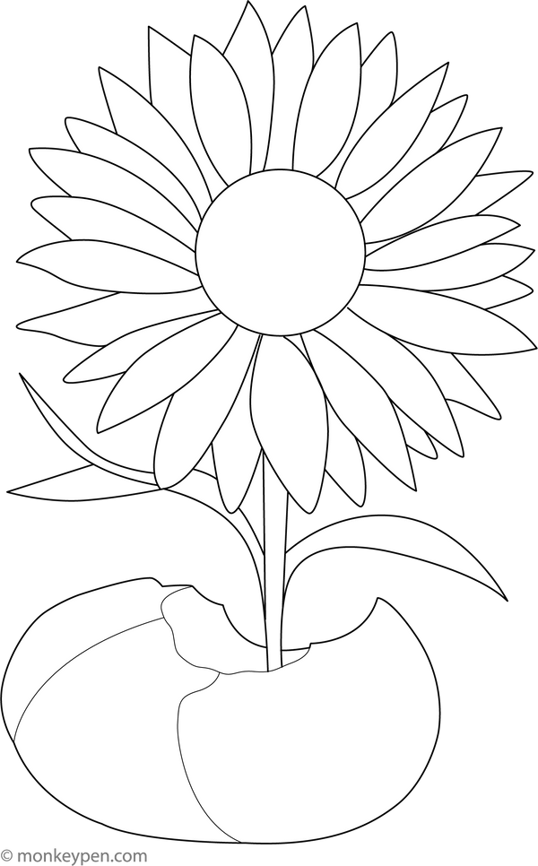 Sunflower Growing from a Cracked Seed Coloring Page