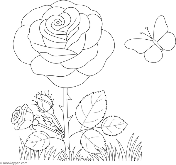 Rose and Butterfly Coloring Page