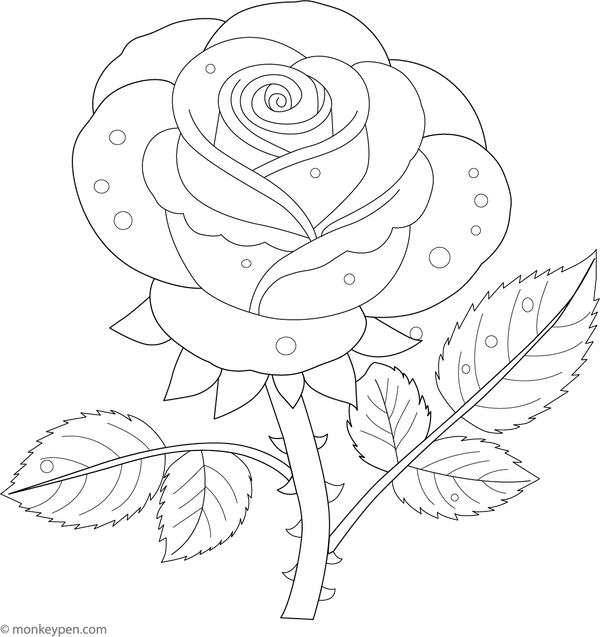 Rose with a Tiny Dewdrop Colouring Page