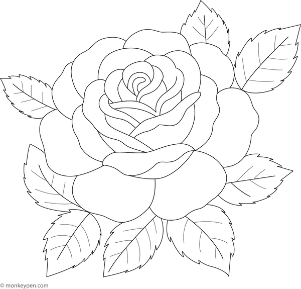 Vintage Rose Coloring Page