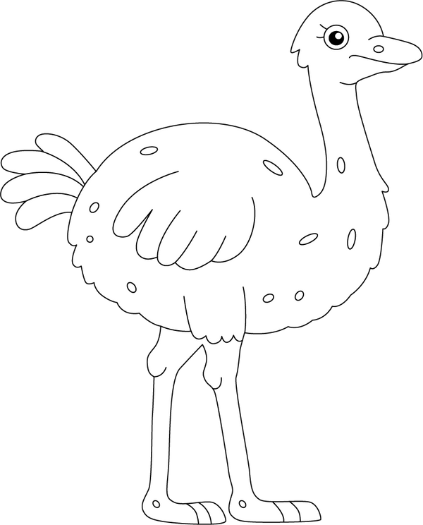 Ostrich coloring page – fun and educational printable for children