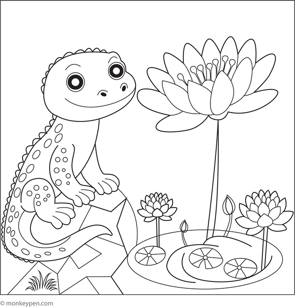 Lizard and Waterlily Coloring Page