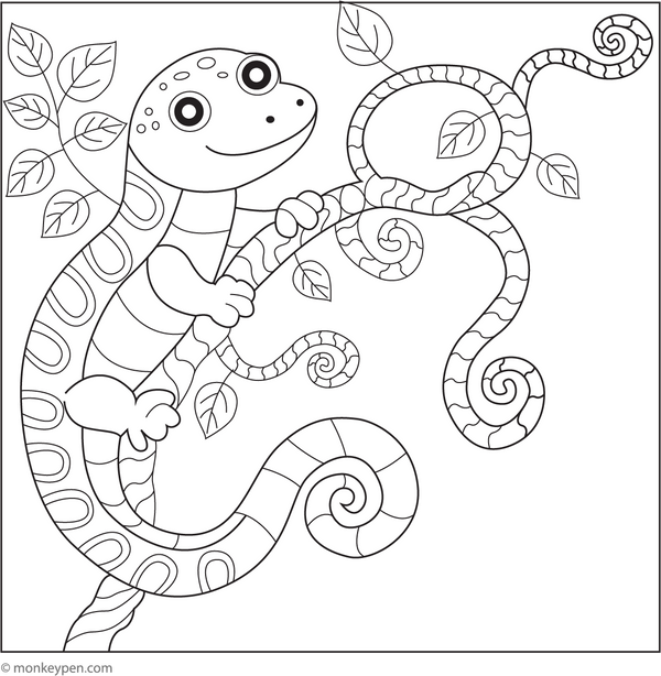 Lizard on a Vine Coloring Page