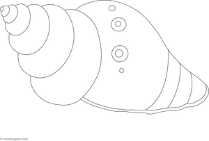Seashell Colouring Page