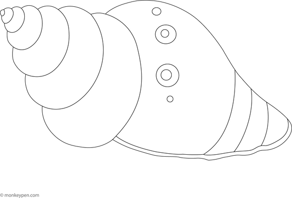 Seashell Colouring Page