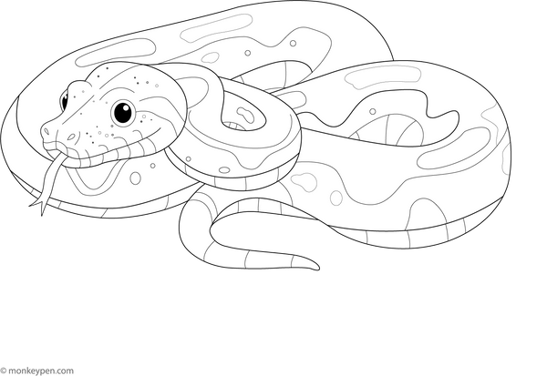 Printable Boa Constrictor Coloring Page