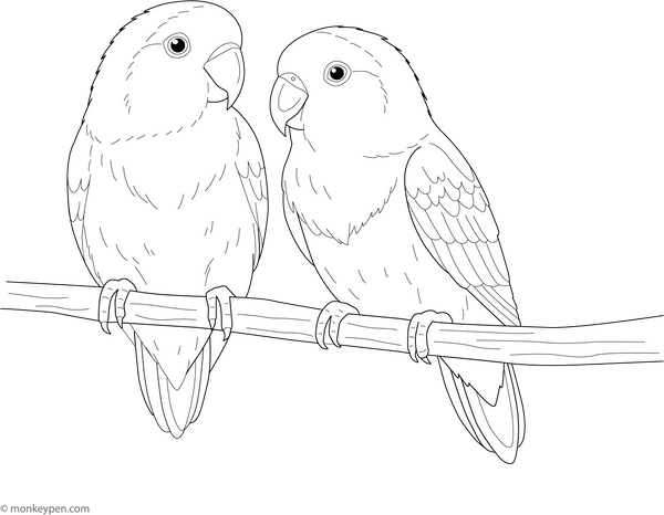 Printable Love Birds Coloring Image