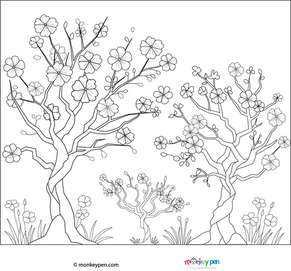 Cherry Blossom Coloring Page