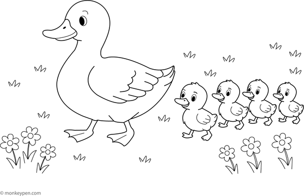 Free Printable Ducklings Following Mother Duck Coloring Sheet For Kids