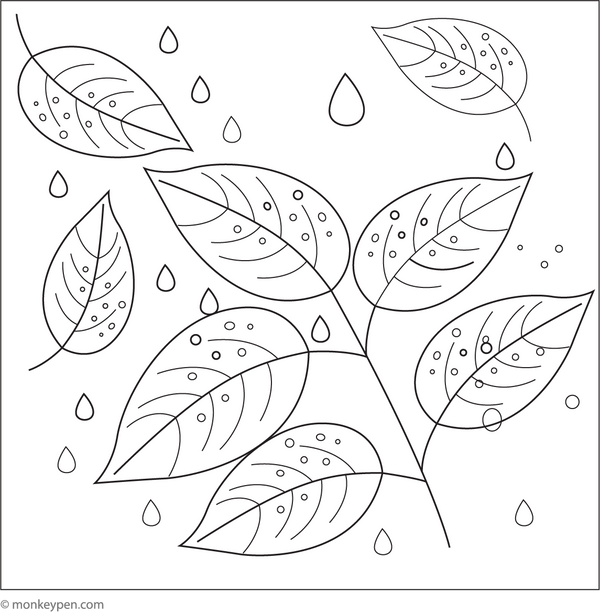 Raindrops resting on green leaves, suitable for coloring Page