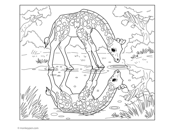 Charming colouring page of a curious giraffe looking at its reflection in a puddle on a rainy day.