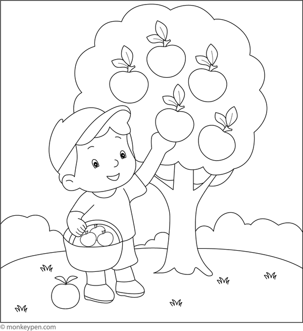Children picking apples from an orchard tree, ready to be coloured.