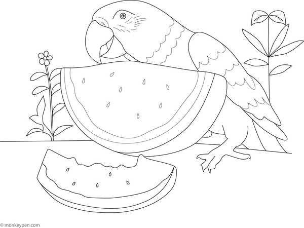 Parrot sitting next to a watermelon slice amidst tropical foliage, ready to be colored.