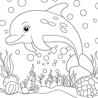 Dolphin Coloring Book