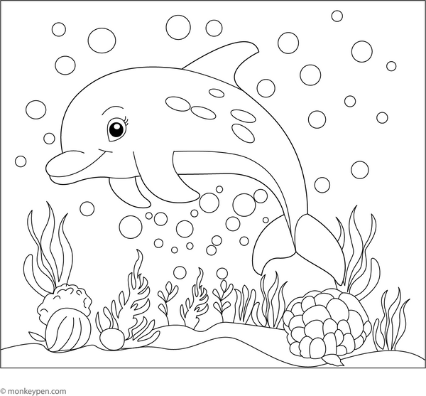Dolphin Coloring Page