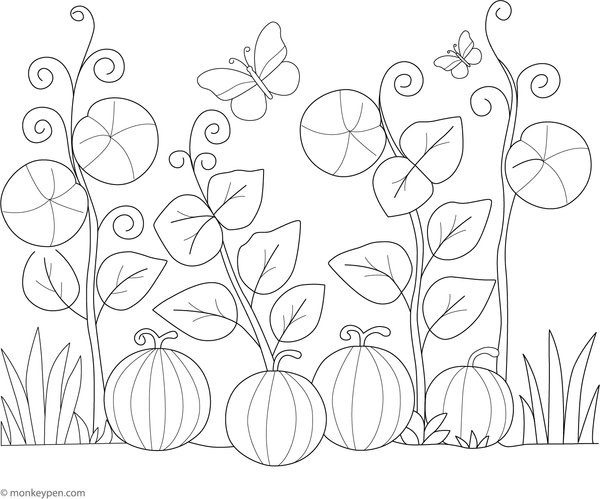 Watermelon garden with a butterfly fluttering nearby, ready to be colored.