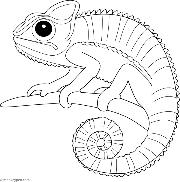 Chameleon Coloring Page – fun and educational printable for children