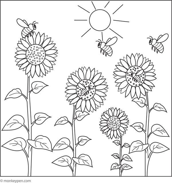 Free Printable Sunflower Garden with Bees Coloring Picture