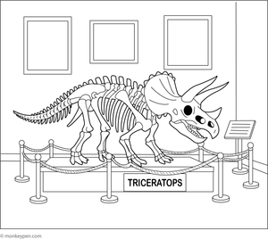 Skeleton of a Triceratops on display in a museum, ready to be colored.