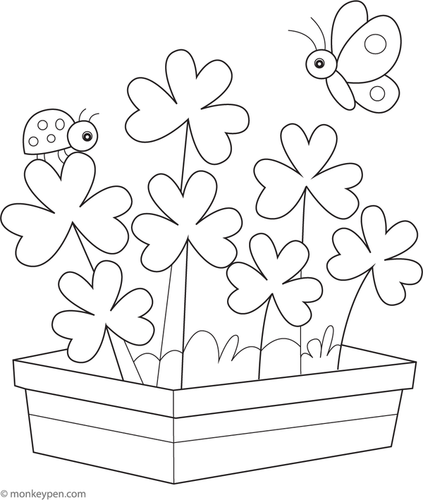 Shamrock Colouring Book