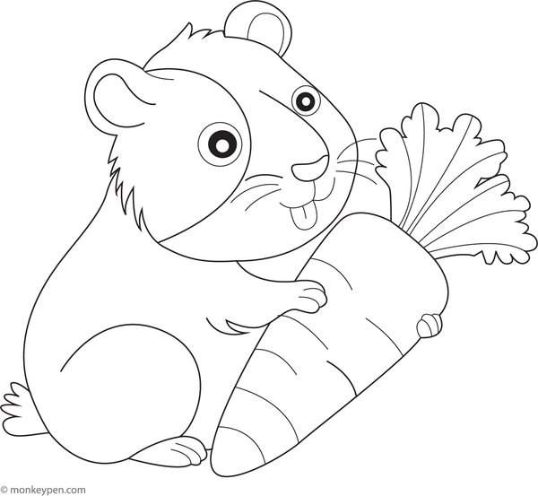 Color in this charming free printable of a guinea pig resting in a cozy cage, offering a captivating and enjoyable activity for children.