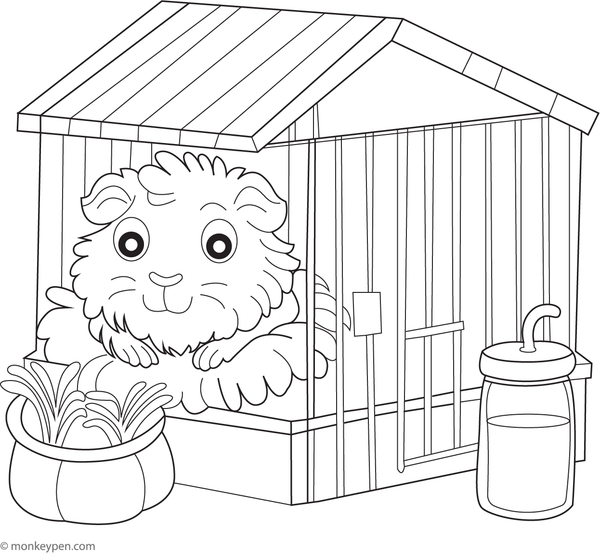 Color in this charming free printable of a guinea pig resting in a cozy cage, offering a captivating and enjoyable activity for children.