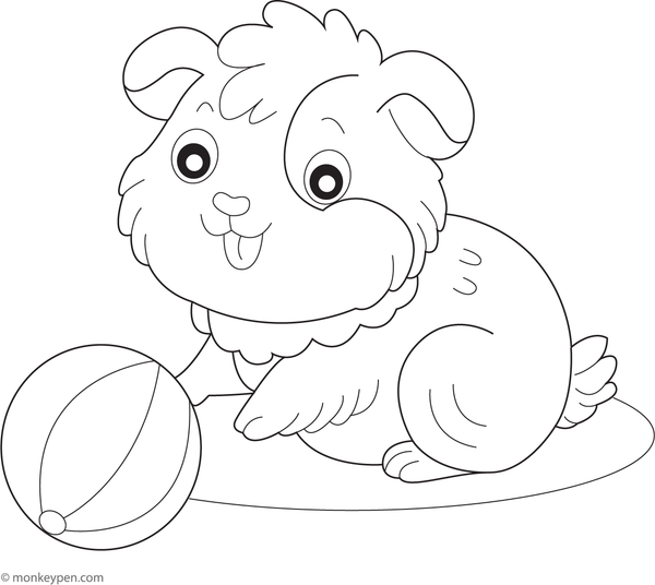 Access this playful free printable of a guinea pig with its favourite ball, providing a simple and enjoyable Coloring activity for children.