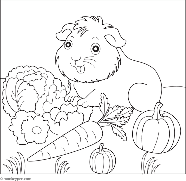 Free printable guinea pig in a veggie garden coloring sheet for kids