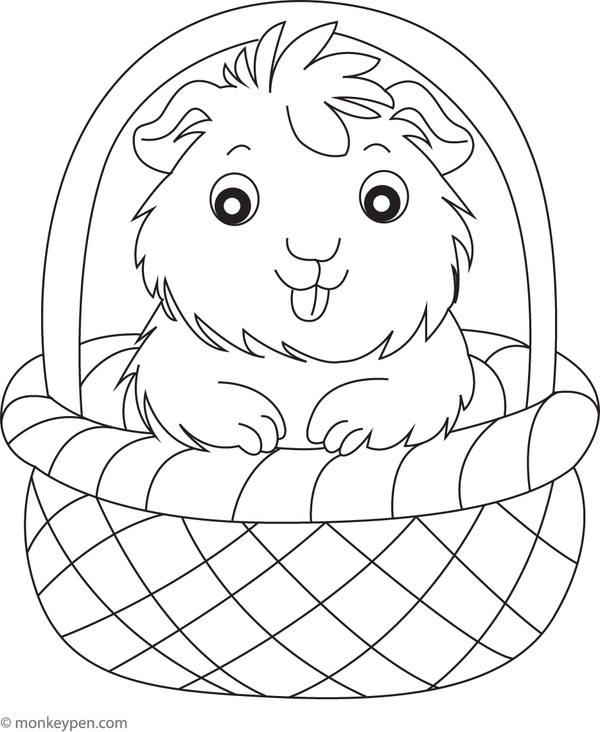 Printable guinea pig in a basket coloring image for kids